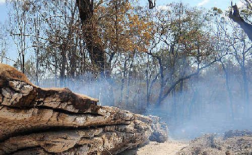 A free workshop will help residents manage the menace of bushfire. A free workshop will help residents manage the menace of bushfire.