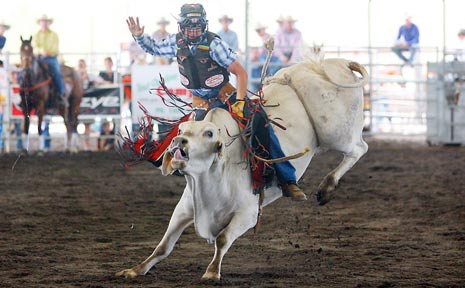 TOUGH RIDE: Cody White put his best show on in the Junior Bull Ride at the CRCA Rodeo finals in Gracemere on the weekend. TOUGH RIDE: Cody White put his best show on in the Junior Bull Ride at the CRCA Rodeo finals in Gracemere on the weekend.