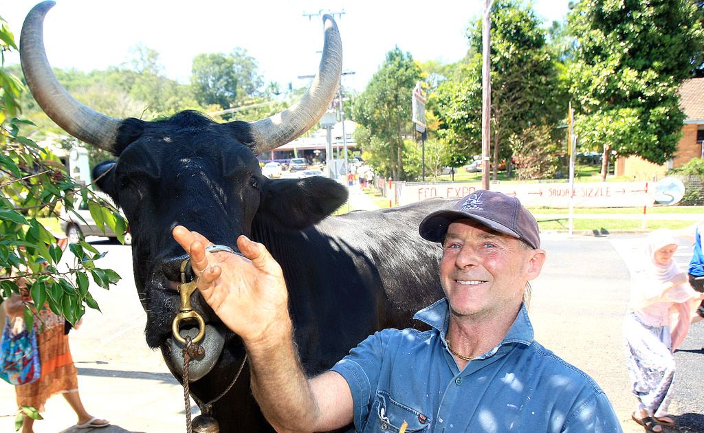Ukitopia Festival Uki Main Street - Dharma Raja and his owner Stever Heffernan were on hand to let festival goers get hands on with a real farm animal. Ukitopia Festival Uki Main Street - Dharma Raja and his owner Stever Heffernan were on hand to let festival goers get hands on with a real farm animal.