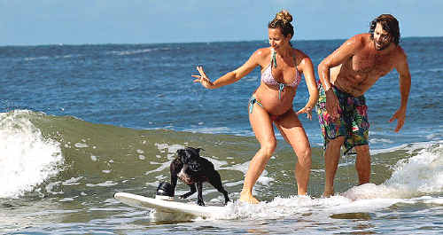 Kim and Sarah Faife of Mullaway, pictured here surfing with dog Grommet, introduced their near born son, Fonzie, to the surf this week well before his arrival. Kim and Sarah Faife of Mullaway, pictured here surfing with dog Grommet, introduced their near born son, Fonzie, to the surf this week well before his arrival.