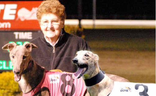 Greyhound breeder and trainer Margaret Dwyer with Mad Max (8) and Surin’ Sal (3). Greyhound breeder and trainer Margaret Dwyer with Mad Max (8) and Surin’ Sal (3).