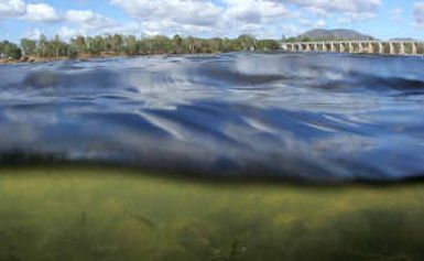 Scientists have discovered a previously unknown toxin that lurks deep in the Fitzroy River. It has no smell, can’t be seen except with a microscope and is poisonous to mammals. Scientists have discovered a previously unknown toxin that lurks deep in the Fitzroy River. It has no smell, can’t be seen except with a microscope and is poisonous to mammals.