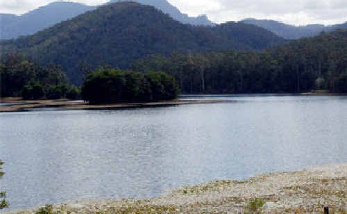 A warning on swimming in Clarrie Hall Dam has been lifted. A warning on swimming in Clarrie Hall Dam has been lifted.