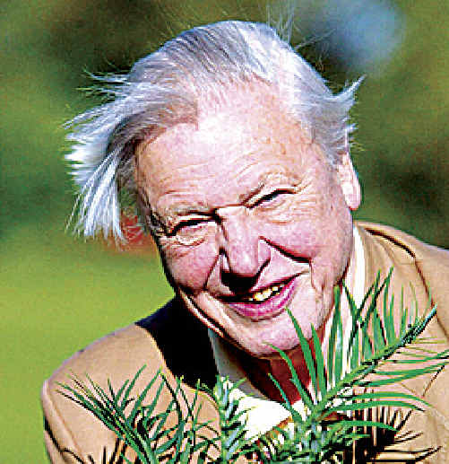Sir David Attenborough Sir David Attenborough