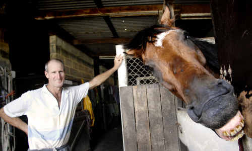Ballina trainer Andrew Pilling with eight-year-old River Street, which will run in the Men of League Cup at Ballina today. Ballina trainer Andrew Pilling with eight-year-old River Street, which will run in the Men of League Cup at Ballina today.