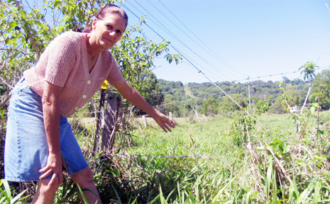 Kerry Black has twice hit straying livestock on the night drive from her Wilson’s Creek home. “This is not an adequate fence,” she says. Kerry Black has twice hit straying livestock on the night drive from her Wilson’s Creek home. “This is not an adequate fence,” she says.