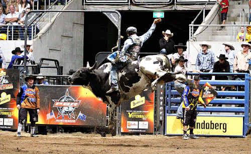 PBR Australian champion rides Brian Duggan’s Maneater for a big score at Tamworth as Shane “Maddog” Simpson, far right, looks on. PBR Australian champion rides Brian Duggan’s Maneater for a big score at Tamworth as Shane “Maddog” Simpson, far right, looks on.