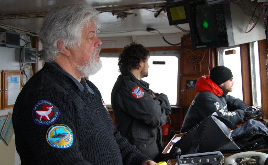 Steve Irwin captain Paul Watson Steve Irwin captain Paul Watson