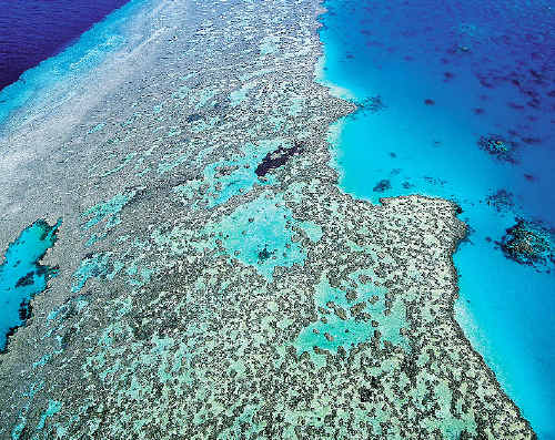 An aerial view of the Great Barrier Reef. An aerial view of the Great Barrier Reef.