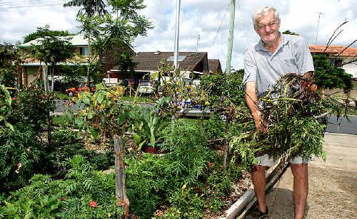 Ron Roberts stands by his trashed garden. Ron Roberts stands by his trashed garden.