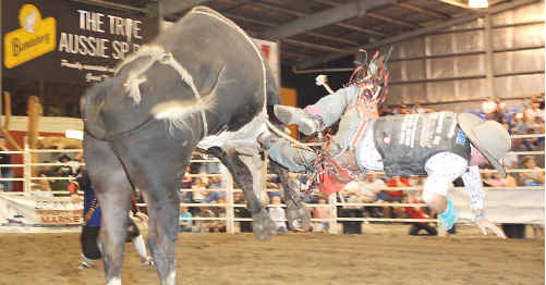 Jarred Borgherio is about to bite the dust at the Great Western Arena on Thursday night. Jarred Borgherio is about to bite the dust at the Great Western Arena on Thursday night.