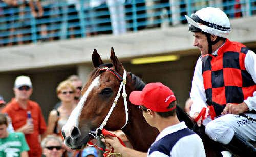 Jockey Steve Traecey beams aboard the great horse on Saturday. Jockey Steve Traecey beams aboard the great horse on Saturday.