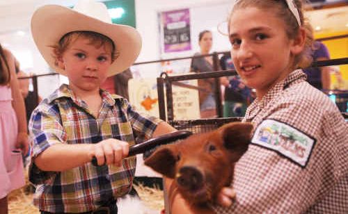 Christopher Cunich, 3, of Lawrence, brushes the hair of a piglet being nursed by ‘farmhand’ Jessica Burtles-Crute. Christopher Cunich, 3, of Lawrence, brushes the hair of a piglet being nursed by ‘farmhand’ Jessica Burtles-Crute.