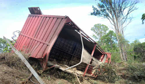 Cattle had to be released from the wreckage after the B-double crashed. Cattle had to be released from the wreckage after the B-double crashed.