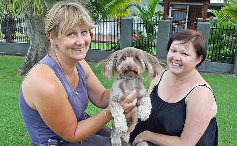 Dog trainer Janet Goodwin (left) with Lismore’s Natalie Shoesmith and her pooch, Maltese terrier Harry. Dog trainer Janet Goodwin (left) with Lismore’s Natalie Shoesmith and her pooch, Maltese terrier Harry.