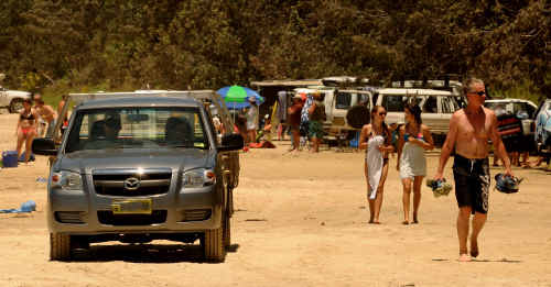 Minnie Water beach has turned into a car park this summer. Minnie Water beach has turned into a car park this summer.