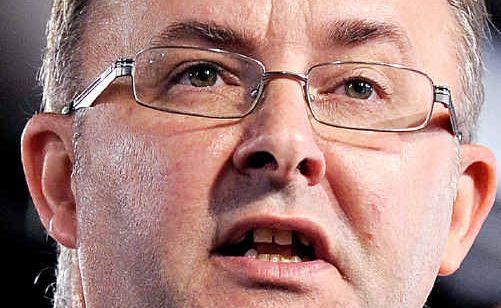 Anthony Albanese. Anthony Albanese.