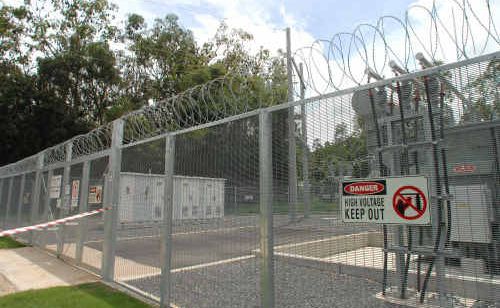 The Maclean flying fox colony caused a high voltage line to trip on Tuesday night, leaving 10,000 Country Energy users in the Lower Clarence without power for up to three hours. The Maclean flying fox colony caused a high voltage line to trip on Tuesday night, leaving 10,000 Country Energy users in the Lower Clarence without power for up to three hours.