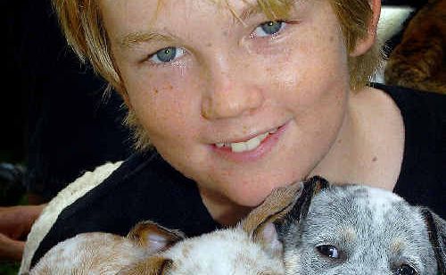 Jed Barnes with some of the Pet Warriors’ charges, cattle dog-cross puppies needing a home. Jed Barnes with some of the Pet Warriors’ charges, cattle dog-cross puppies needing a home.