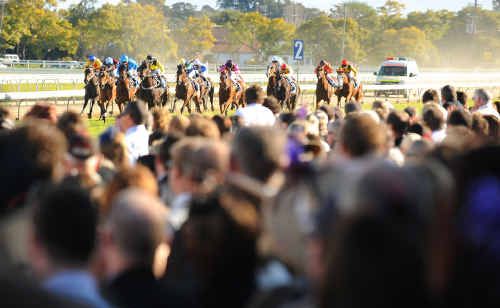 Grafton's July Racing Carnival doesn't rate a mention in Events NSW's calendar of events. Grafton's July Racing Carnival doesn't rate a mention in Events NSW's calendar of events.