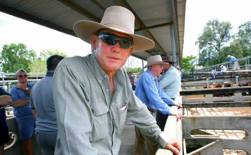 John Carige checks out what’s on the market at the CQLX complex during the first cattle sale of the year at Gracemere yesterday. John Carige checks out what’s on the market at the CQLX complex during the first cattle sale of the year at Gracemere yesterday.