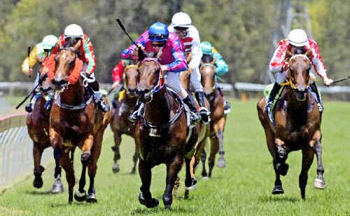 Schoolchildren will have a tough time getting home on Ballina Cup day as schools will close at noon while bus companies will keep their timetables the same. Schoolchildren will have a tough time getting home on Ballina Cup day as schools will close at noon while bus companies will keep their timetables the same.