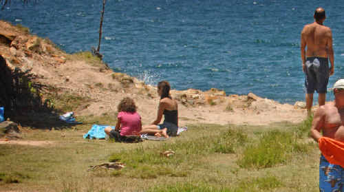 More than 700 people were recorded visiting the Angourie Blue Pools on one day over the New Year period. Concerned residents say the pools are in danger of being ‘loved to death’. More than 700 people were recorded visiting the Angourie Blue Pools on one day over the New Year period. Concerned residents say the pools are in danger of being ‘loved to death’.