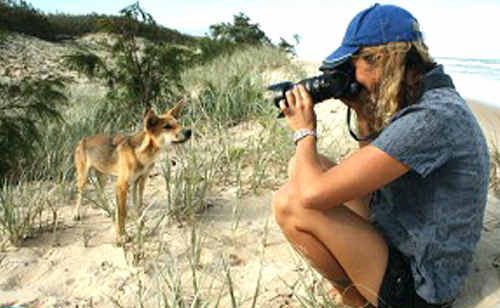 A picture of dingo crusader Jennifer Parkhurst from her “Fraser Island Footprints” website. A picture of dingo crusader Jennifer Parkhurst from her “Fraser Island Footprints” website.