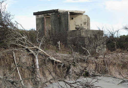 Historic Bribie Fort Under Siege Sunshine Coast Daily