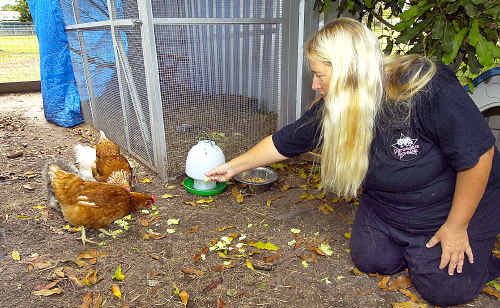 Permaculture teacher Sara Ashdown is pleased to see holistic practices taking off on the Fraser Coast. Permaculture teacher Sara Ashdown is pleased to see holistic practices taking off on the Fraser Coast.