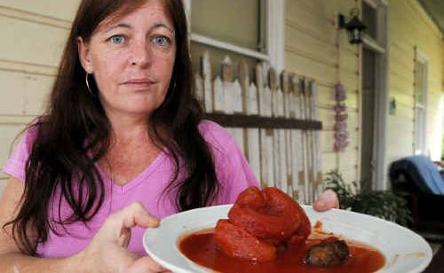 FELT SICK: Karon Follett found this object in a can of tomatoes. FELT SICK: Karon Follett found this object in a can of tomatoes.