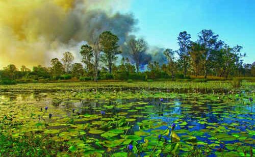 Nicholas Duckworth’s photograph Wetland Safety Zone taken on his property, north of Grafton.
Nicholas Duckworth’s photograph Wetland Safety Zone taken on his property, north of Grafton.
