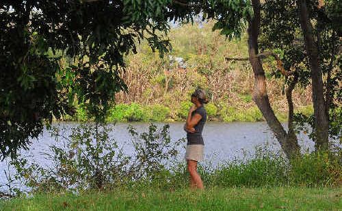 Lila Walker looks across the river to the trees that are home to the Maclean bat colony. Lila Walker looks across the river to the trees that are home to the Maclean bat colony.