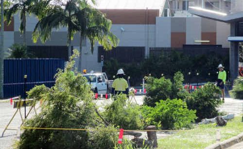 A drain is to be built where the trees were and it was not possible to put in more, Clarence Valley Council said. A drain is to be built where the trees were and it was not possible to put in more, Clarence Valley Council said.