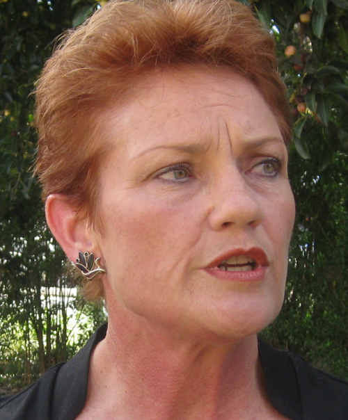 One Nation leader Pauline Hanson. One Nation leader Pauline Hanson.