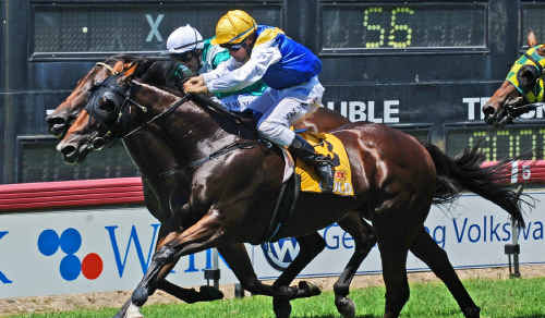 Top Crown fights past Admiral Nediym to win the Ulmarra Chip-in Cup at Grafton on Saturday. Top Crown fights past Admiral Nediym to win the Ulmarra Chip-in Cup at Grafton on Saturday.