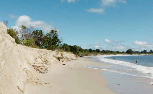 A shark was spotted at Whiting Beach on Sunday afternoon. A shark was spotted at Whiting Beach on Sunday afternoon.