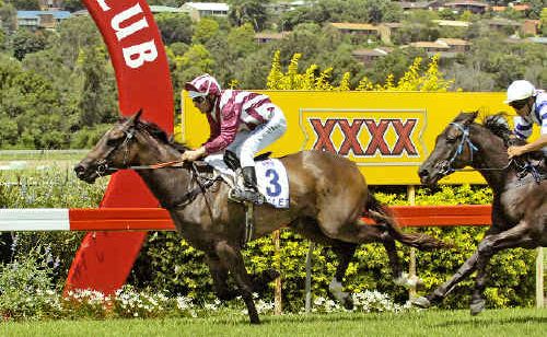 Calamine, ridden by Chris Whiteley, crosses the line ahead of Yabbra (Marlon Dolendo) to win the Byron Bay Manor Maiden Handicap at the Pork Industry race day at Lismore Turf Club yesterday. Calamine, ridden by Chris Whiteley, crosses the line ahead of Yabbra (Marlon Dolendo) to win the Byron Bay Manor Maiden Handicap at the Pork Industry race day at Lismore Turf Club yesterday.