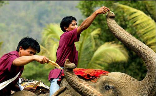 These photographs were taken on a recent trip to Laos and were the images that won Mike his Best International Travel Image award. These photographs were taken on a recent trip to Laos and were the images that won Mike his Best International Travel Image award.