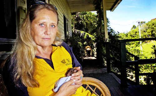 WIRES carer and cattle farmer Katy Stewart, of The Pocket, concerned for the native wildlife that are at risk from the wild dog packs that roam the area. WIRES carer and cattle farmer Katy Stewart, of The Pocket, concerned for the native wildlife that are at risk from the wild dog packs that roam the area.