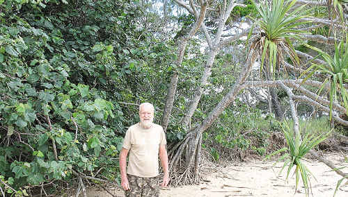 John Eggleston shows the two magic answers to erosion side by side, the beach hibiscus and the screw palm or pandanus. John Eggleston shows the two magic answers to erosion side by side, the beach hibiscus and the screw palm or pandanus.