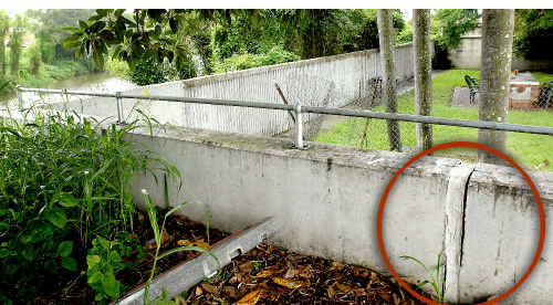 A large crack has formed in the Lismore CBD levee bank, probably as a result of the flood in May last year. A large crack has formed in the Lismore CBD levee bank, probably as a result of the flood in May last year.