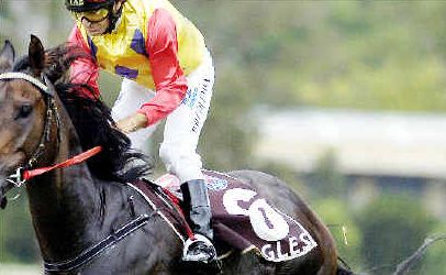 Darron Coleman aboard Dowden wins the Mid-Richmond Plumbers Benchmark 45 Handicap (1200m) at the Lismore races on Saturday. Darron Coleman aboard Dowden wins the Mid-Richmond Plumbers Benchmark 45 Handicap (1200m) at the Lismore races on Saturday.