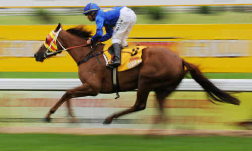 Ponder clears out to an easy win in race 1 at Grafton. Ponder clears out to an easy win in race 1 at Grafton.