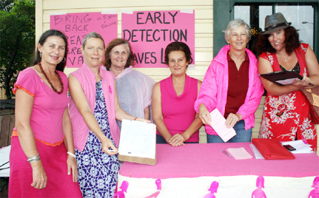 In the pink: Byron Mayor Jan Barham (left) attends a rally in Byron Bay last week to protest the removal of the mobile breast screening vans from the Byron/Ballina areas. Barb Pinter (second left) shows off a petition which will be sent to the Minister for Health. In the pink: Byron Mayor Jan Barham (left) attends a rally in Byron Bay last week to protest the removal of the mobile breast screening vans from the Byron/Ballina areas. Barb Pinter (second left) shows off a petition which will be sent to the Minister for Health.