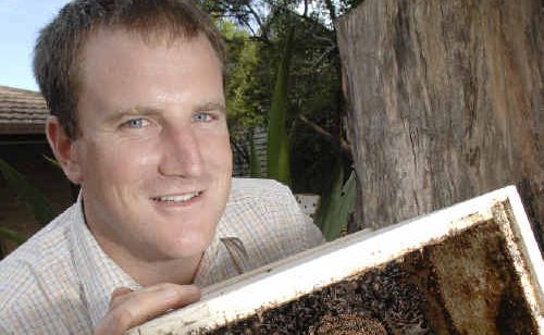 Steve Maginnity, of Lennox Head, and his native bees. Steve Maginnity, of Lennox Head, and his native bees.