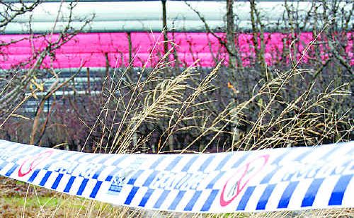 Zoeie Charro Makylev’s body was found in long grass near an orchard on Tennant Road on August 30, 2006. She had no other family in Australia, with her mother residing in Italy. Zoeie Charro Makylev’s body was found in long grass near an orchard on Tennant Road on August 30, 2006. She had no other family in Australia, with her mother residing in Italy.
