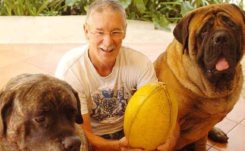 John Rantall at home at Palmers Island with his two giant English Mastiffs Maleah and Albert. DAILY EXAMINER John Rantall at home at Palmers Island with his two giant English Mastiffs Maleah and Albert. DAILY EXAMINER
