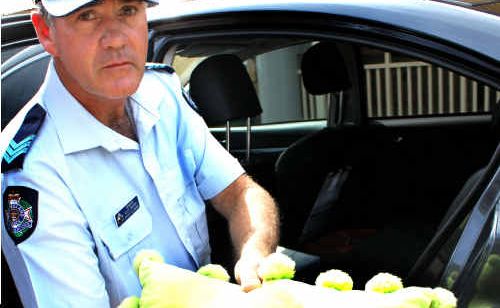 Not good enough: Warwick Police Traffic Branch officer in charge Sergent Ross Waugh has warned pillows won’t save your baby if involved in a car crash. Not good enough: Warwick Police Traffic Branch officer in charge Sergent Ross Waugh has warned pillows won’t save your baby if involved in a car crash.