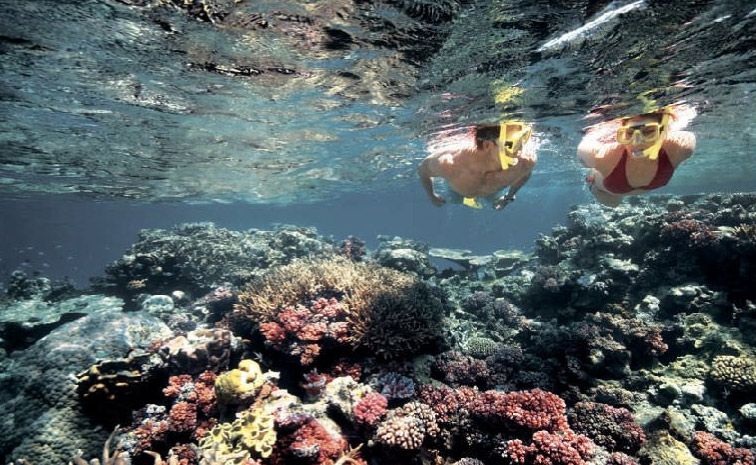 Visiting Queensland's Great Barrier Reef is the ultimate in natural encounters. Visiting Queensland's Great Barrier Reef is the ultimate in natural encounters.
